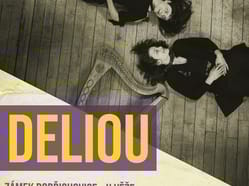Deliou - Jitka Malczyk /housle/ a  Célestine Doedens /harfa/