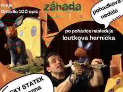 Zajíček a velká mrkvová záhada