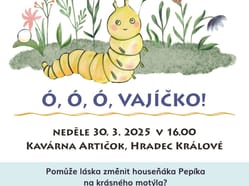 Ó
