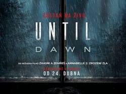 Until Dawn
