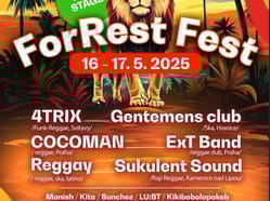 ForRest Fest 2025