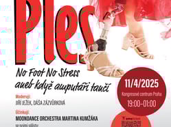 I. reprezentační ples NO FOOT NO STRESS