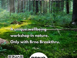 From Crisis to Calm: A Wellbeing Workshop in Nature