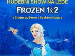4k5 Frozen CZ České Budějovice