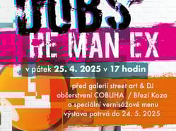 Dobs verni