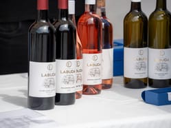 Vinný košt & festival chutí v Chrudimi