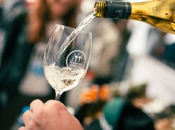 Plzeňský festival vína JARO 2025