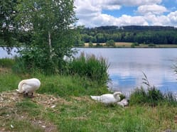 Venkovní hra - Po stopách tajemného agenta Ždírec nad Doubravou