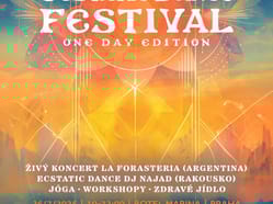 ECSTATIC DANCE FESTIVAL - One Day Edition
