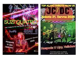 Suzi Quatro tribute