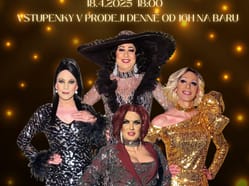 Travesti Divoké kočky Havířov Iris club