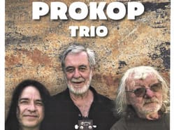Michal Prokop Trio
