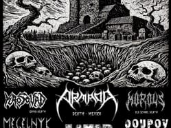 Near Death Experience Fest