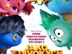 Jako z divokých vajec  (Thajsko) 2D
