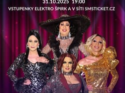 Travesti show Divoké kočky v Nýřanech
