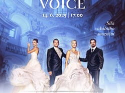 Bohemia Voice