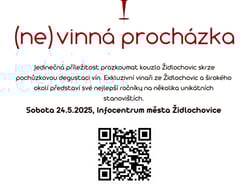 (ne)vinná procházka v Židlochovicích