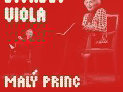 Kulturní prostor AULA: Divadlo Viola - Malý princ