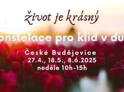 Jarní 4