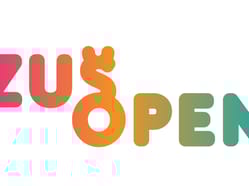 Logo ZUS OPEN 04
