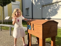 IMG 4537