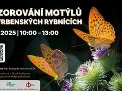 Pozorování motýlů letak šířka