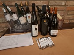 Degustace ve Sklepech Františka Lotrinského