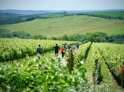 St. Johann Fest – Festival vína v unikátním Kurdějovském údolí