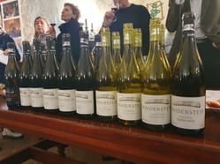 Řízená degustace vín – Vinařství Nepraš & Co.