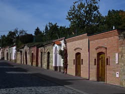 Otevřené sklepy v Polešovicích
