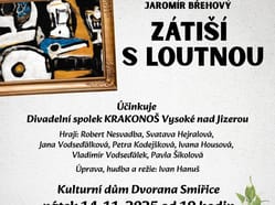 Zátiší s loutnou