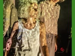 Endemité: Příběhy mizení – A studio Rubín
