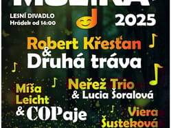 Muzika 2025