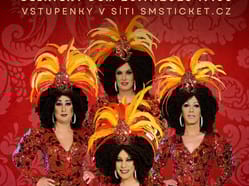 Travesti Divoké kočky v Brně