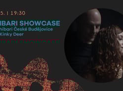 V1 ShibariShowcase web
