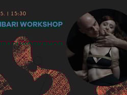 V1 ShibariWorkshop web