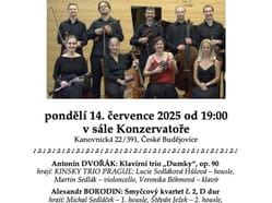 Pellegrina 2025 tutors concert cz