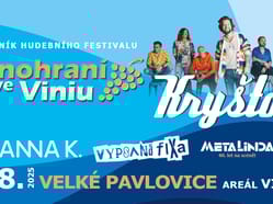 Vinohraní ve Viniu