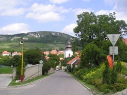 Léto s bavorským vinařem