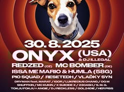 Unyfest 25 - ONYX (US)