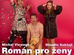Román pro ženy