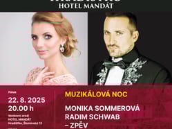 Dvořákův festival: Muzikálový večer