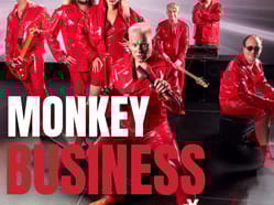 Monkey Business - Když múzy mlčí tour 2025