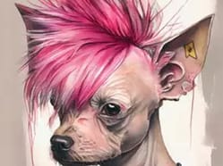 Punks for dogs