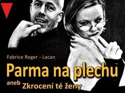 Parma na plechu