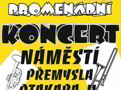 20250625 Plakát koncert 2025NAMESTI poz