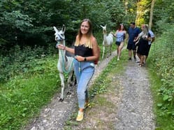 Lamatreking: Procházka s lamou Krkonoše - 3
