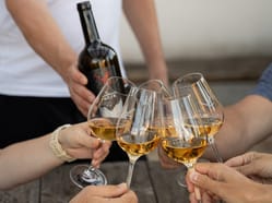 Degustační středa ve Vinařství Fučík
