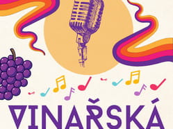 Vinařská noc Sudoměřice