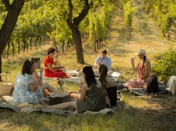 Letní piknik ve vinici
